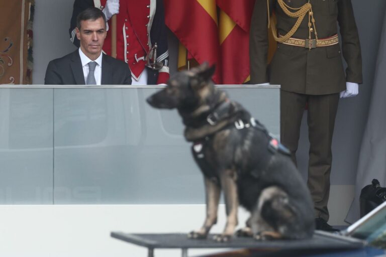 1003743966087_259322777_1706x1280